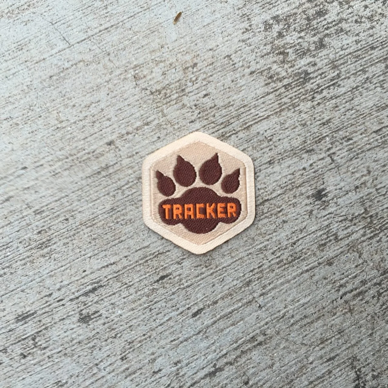 Tracker Spirit Badge