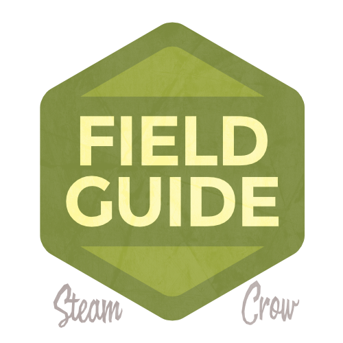 Field Guide Spirit Badge