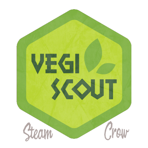Vegi Ranger Spirit Badge